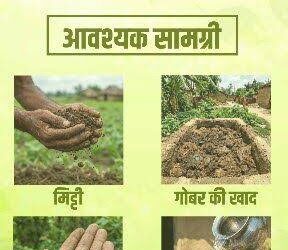 सीड बॉल अभियान- हरियाली बढ़ाने का सरल और प्रभावी माध्यम, जनभागीदारी से साकार हो रहा हरित छत्तीसगढ़ का संकल्प