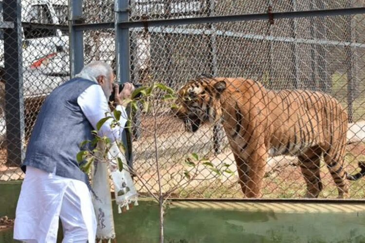 320.15 हेक्टेयर में फैला प्रकृति और वन्यजीव संरक्षण का अनूठा संगम है नंदनवन जंगल सफारी