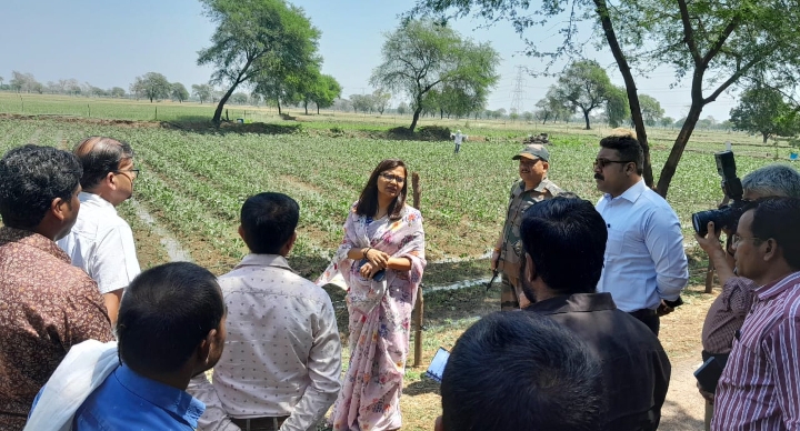 बारिश से हुई फसल नुकसान देखने कलेक्टर ऋचा प्रकाश चौधरी पहुंची खेतों में, कृषकों से रूबरू चर्चा कर फसल क्षति की ली जानकारी