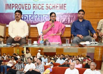 छत्तीसगढ़ में लागू होगी ‘इम्प्रूव्ड राईस स्कीम, खाद्य सचिव की अध्यक्षता में राज्य स्तरीय कार्यशाला सम्पन्न