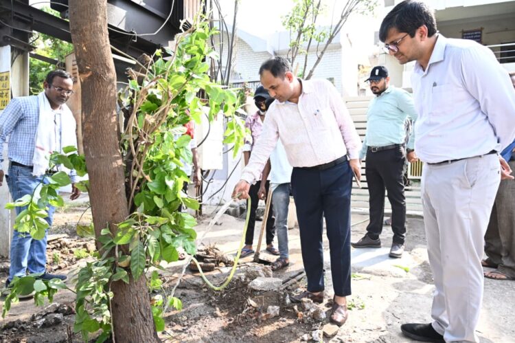 राज्यपाल ने पौधें के विकास को लेकर जताई थी चिंता, कलेक्टर डॉ.गौरव सिंह ने राजभवन के सामने की शुरूआत