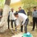 कलेक्टर डॉ.गौरव सिंह ने स्वयं पेड़ के चारों तरफ से कांक्रीट हटाकर आम जनता से “प्रोजेक्ट पुनर्जीवन” अभियान में शामिल होने आग्रह किया