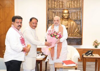 छत्तीसगढ़ में अखिल भारतीय आयुर्वेद संस्थान के स्थापना का प्रस्ताव, अमित शाह से मिले मुख्यमंत्री विष्णुदेव साय