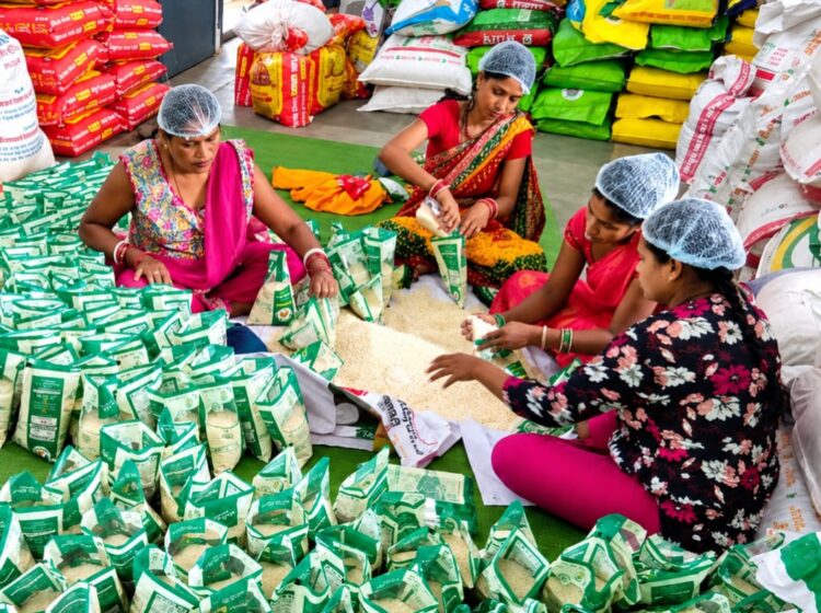 किसानों की मेहनत, बहनों की उद्यमशीलता और सुगंधित विष्णुभोग चावल ने गौरेला-पेंड्रा-मरवाही को दिलाई नई पहचान