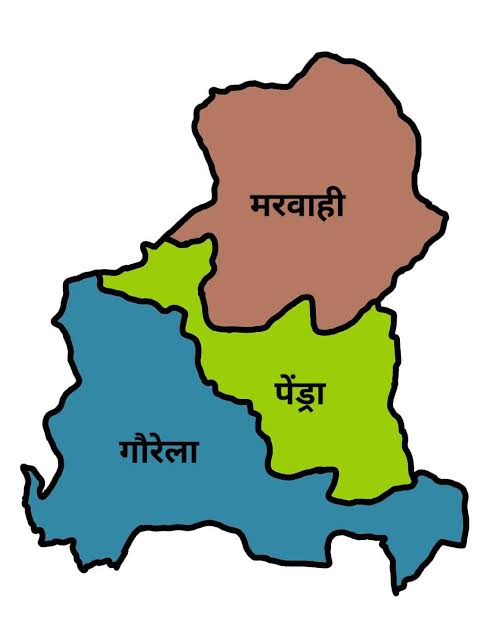 जनगणना 2027: गौरेला पेंड्रा मरवाही ने रचा इतिहास, 100% लक्ष्य हासिल कर राज्य में बना नंबर-1 जिला