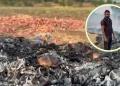 मात्र 1 रुपये किलो प्याज का भाव मिलने पर किसान ने 600 बोरियों में लगा दी आग, प्रशासन से अनुदान देने की मांग